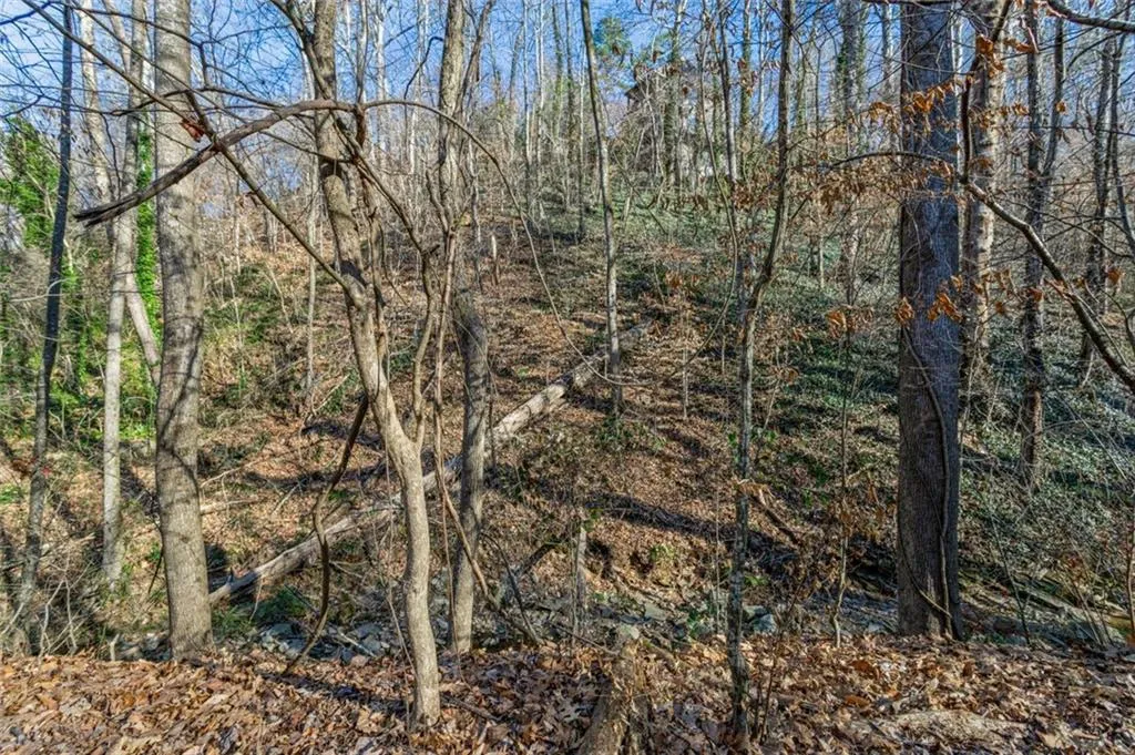 6380 River Chase Circle Nw, Sandy Springs, Georgia 30328, ,Land,Sold,6380 River Chase Circle Nw,7005126