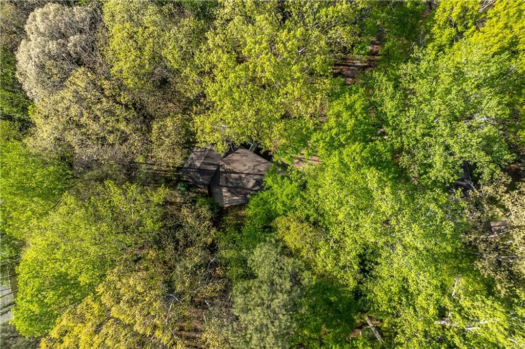 View of bird's eye view