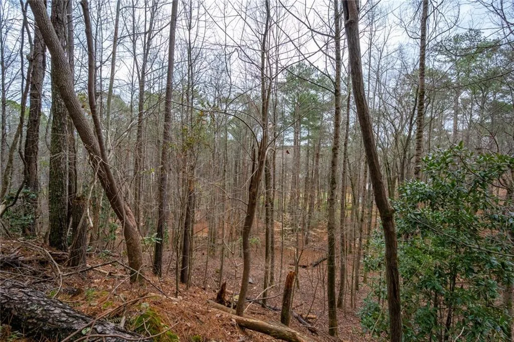 1 Skyridge Trail, Sandy Springs, Georgia 30350, 6 Bedrooms Bedrooms, ,6 BathroomsBathrooms,Residential,Sold,1 Skyridge Trail,6836531