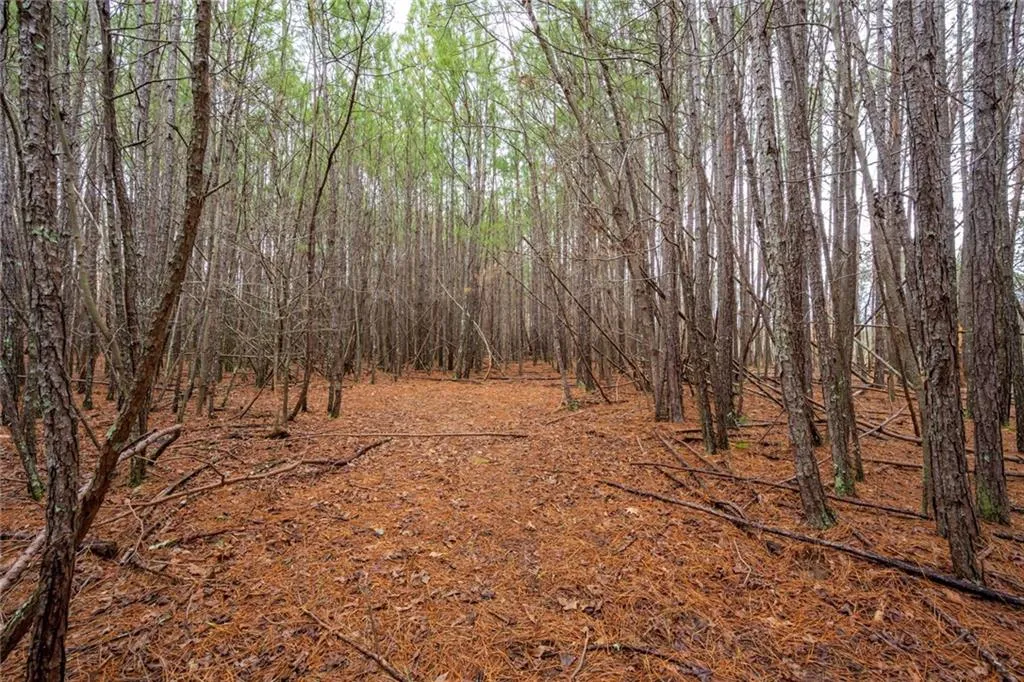 1 Skyridge Trail, Sandy Springs, Georgia 30350, 6 Bedrooms Bedrooms, ,6 BathroomsBathrooms,Residential,Sold,1 Skyridge Trail,6836531