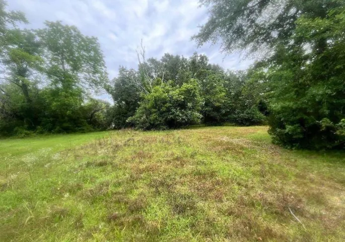1318 E Roosevelt Avenue, Albany, Georgia 31705