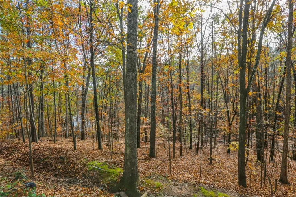 1001 Vicksburg Place, Sandy Springs, Georgia 30350, 2 Bedrooms Bedrooms, ,2 BathroomsBathrooms,Residential,Sold,1001 Vicksburg Place,5933192