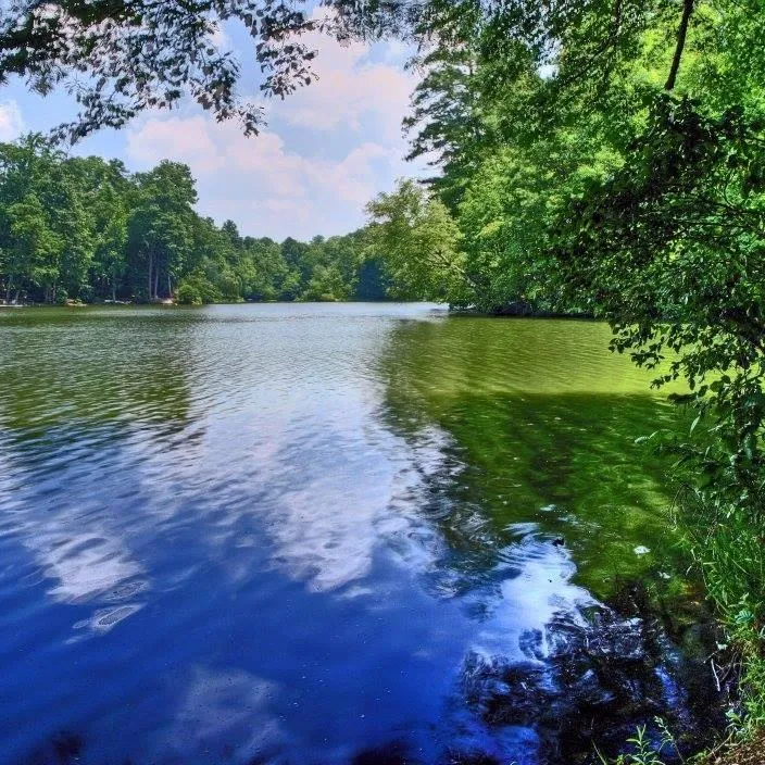 Water view with a heavily wooded area