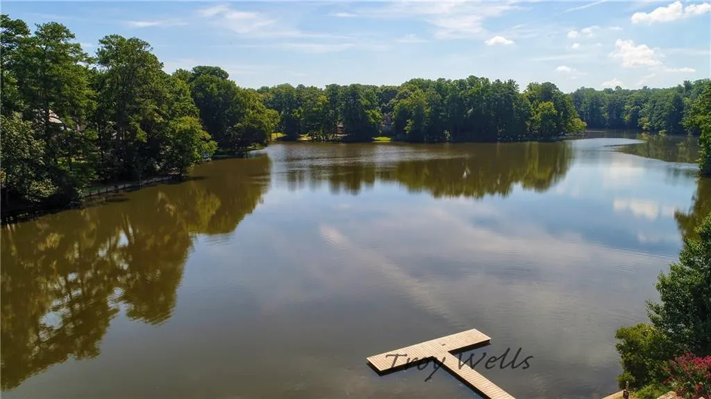 Water view with a forest and a boat dock