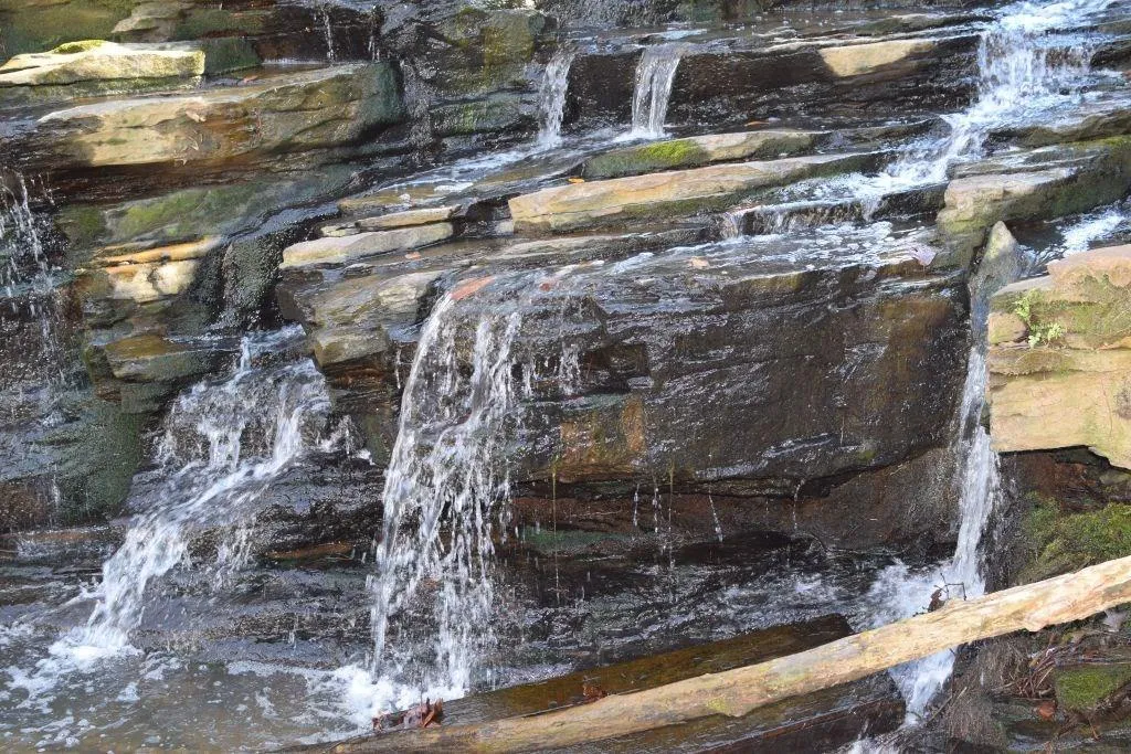 6609 Cadence Boulevard Unit 3, Sandy Springs, Georgia 30328, 3 Bedrooms Bedrooms, ,3 BathroomsBathrooms,Residential,Sold,6609 Cadence Boulevard Unit 3,5859555