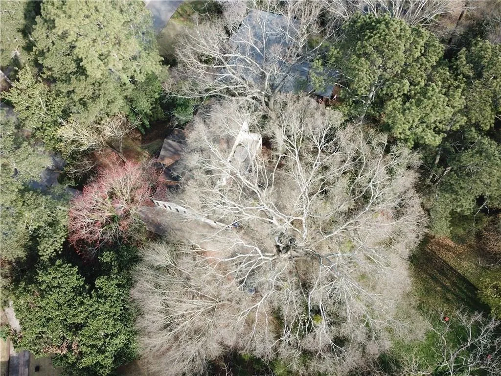 3245 Ivanhoe Drive Nw, Atlanta, Georgia 30327, 4 Bedrooms Bedrooms, ,3 BathroomsBathrooms,Residential,Sold,3245 Ivanhoe Drive Nw,6043610