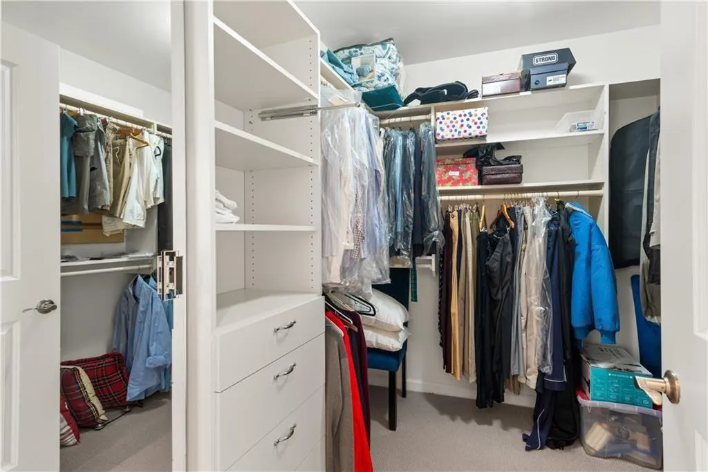 Walk in closet featuring light carpet