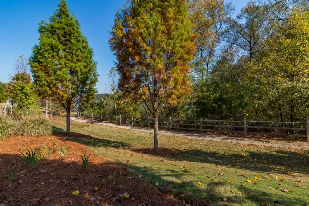 290 Stone Mill Trail, Sandy Springs, Georgia 30328, 5 Bedrooms Bedrooms, ,4 BathroomsBathrooms,Residential,Sold,290 Stone Mill Trail,5772897