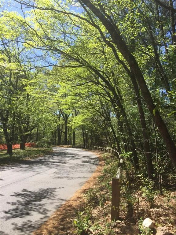 5320 Riverview Road, Atlanta, Georgia 30327, ,Land,Sold,5320 Riverview Road,5755923