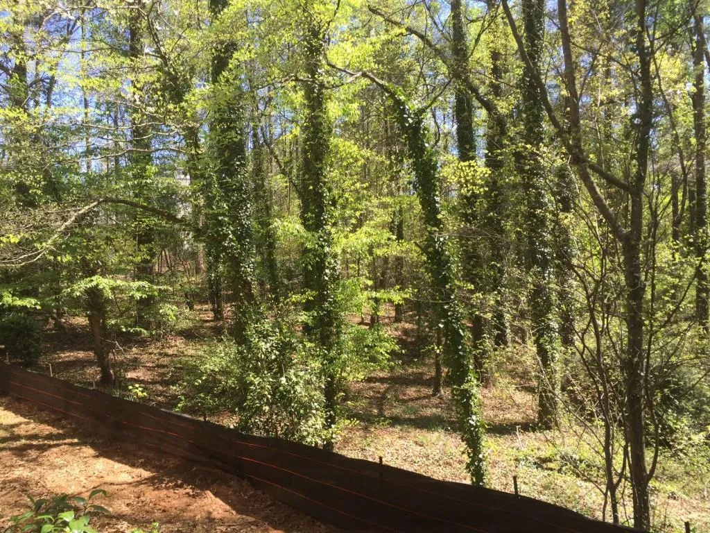 5320 Riverview Road, Atlanta, Georgia 30327, ,Land,Sold,5320 Riverview Road,5755923