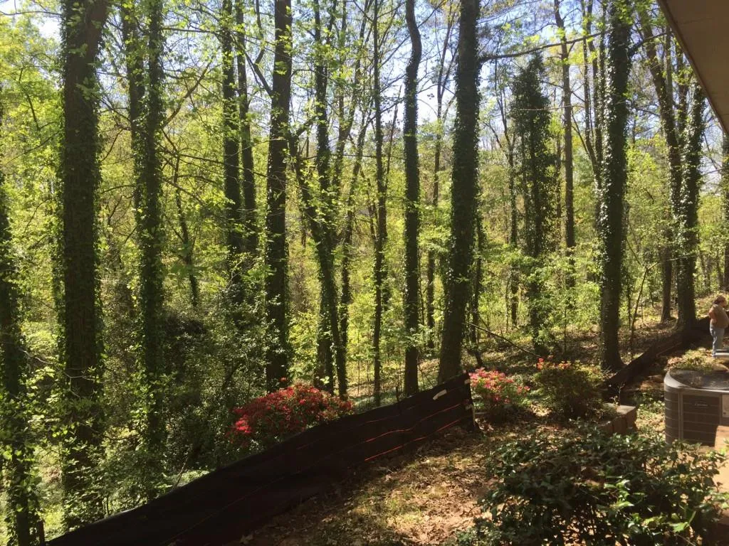 5320 Riverview Road, Atlanta, Georgia 30327, ,Land,Sold,5320 Riverview Road,5755923