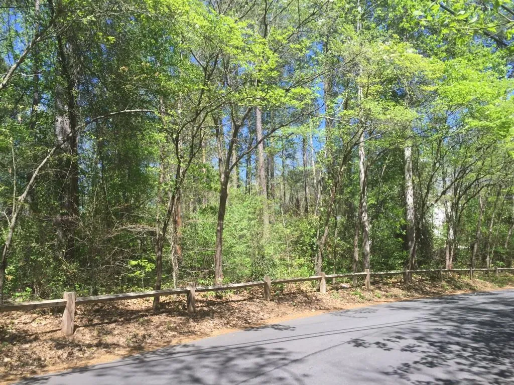 5320 Riverview Road, Atlanta, Georgia 30327, ,Land,Sold,5320 Riverview Road,5755923