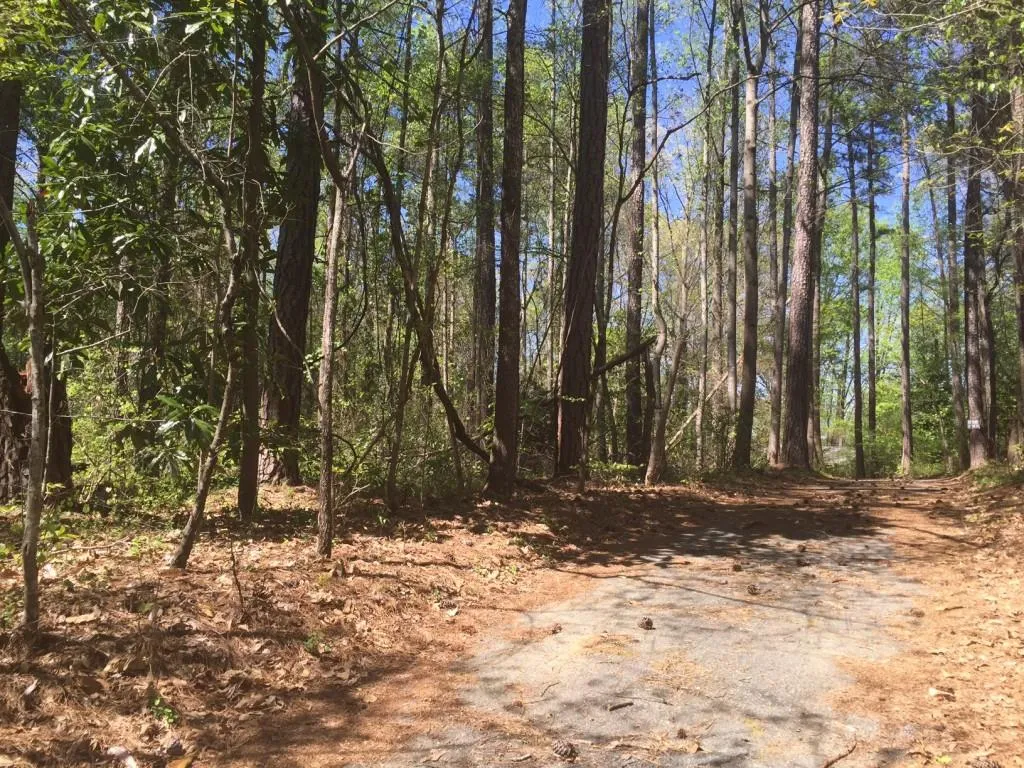 5320 Riverview Road, Atlanta, Georgia 30327, ,Land,Sold,5320 Riverview Road,5755923