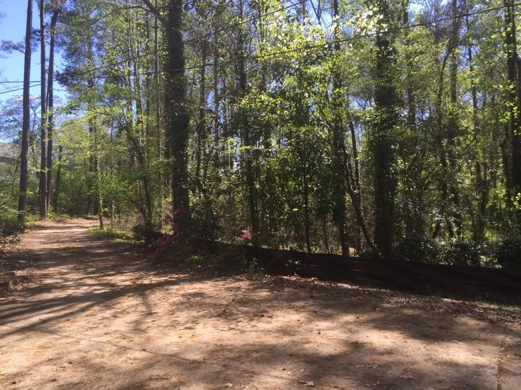 5320 Riverview Road, Atlanta, Georgia 30327, ,Land,Sold,5320 Riverview Road,5755923