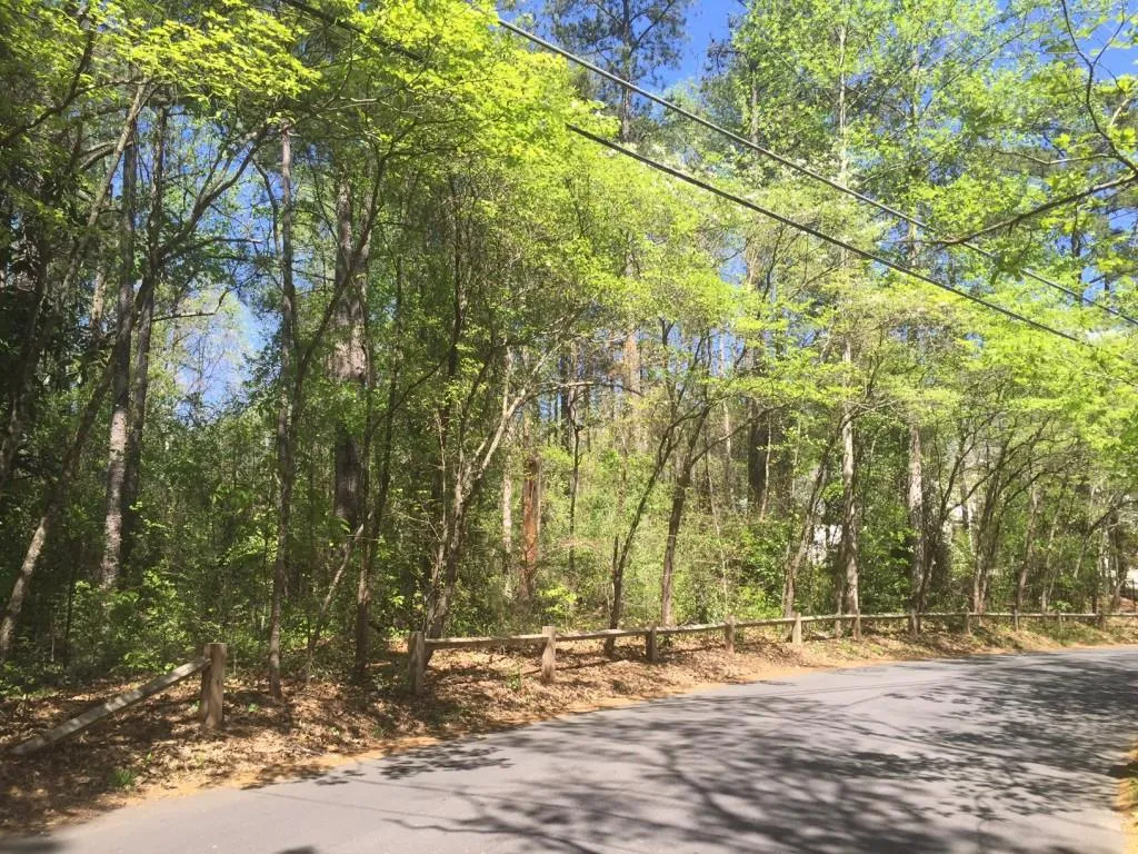 5320 Riverview Road, Atlanta, Georgia 30327, ,Land,Sold,5320 Riverview Road,5755923