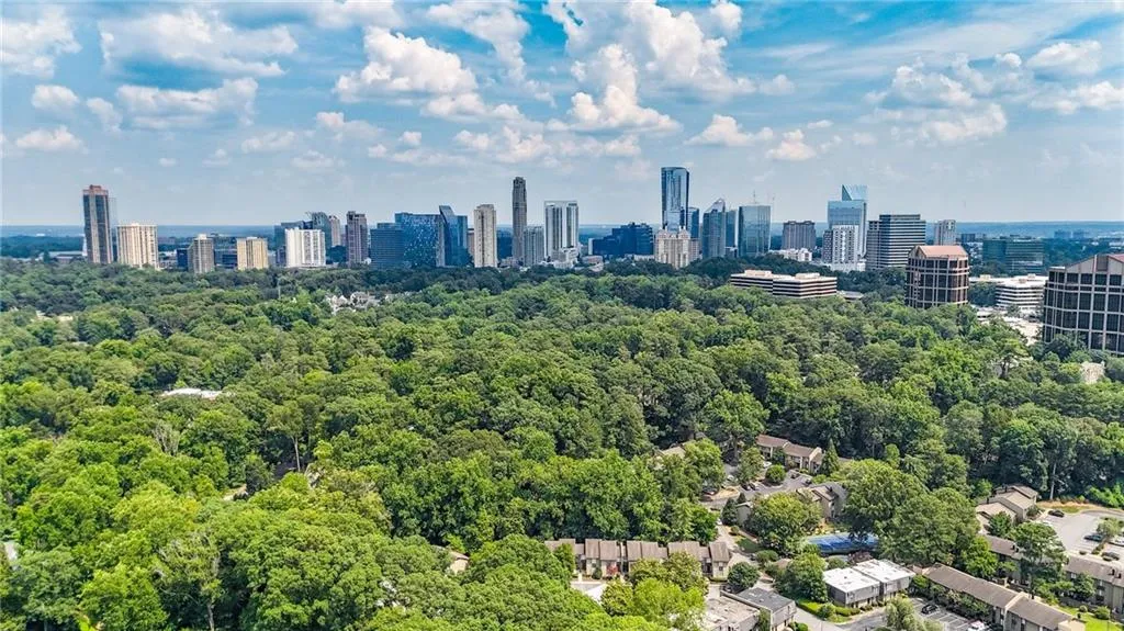 Skyline view with a forest