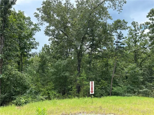 0 Hamilton Road, Chattahoochee Hills, Georgia 30268