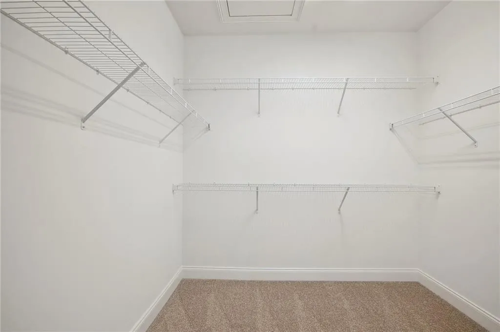 Walk in closet featuring carpet