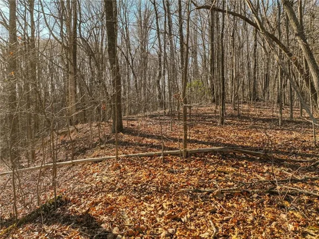 Wooded acreage featuring mature deciduous trees and a natural ground cover of fallen leaves