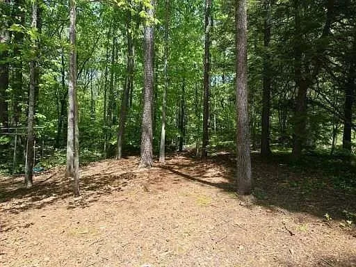 5535 W Idlewood Lane, Atlanta, Georgia 30327, 5 Bedrooms Bedrooms, ,3 BathroomsBathrooms,Residential,Sold,5535 W Idlewood Lane,6710095