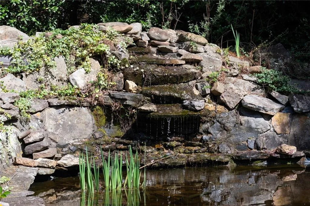 Koi pond with fountain