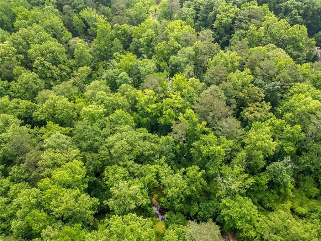 2260 Spalding Drive, Atlanta, Georgia 30350, ,Land,Sold,2260 Spalding Drive,7584894