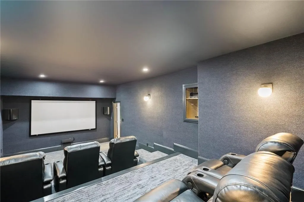 Cinema featuring carpet floors