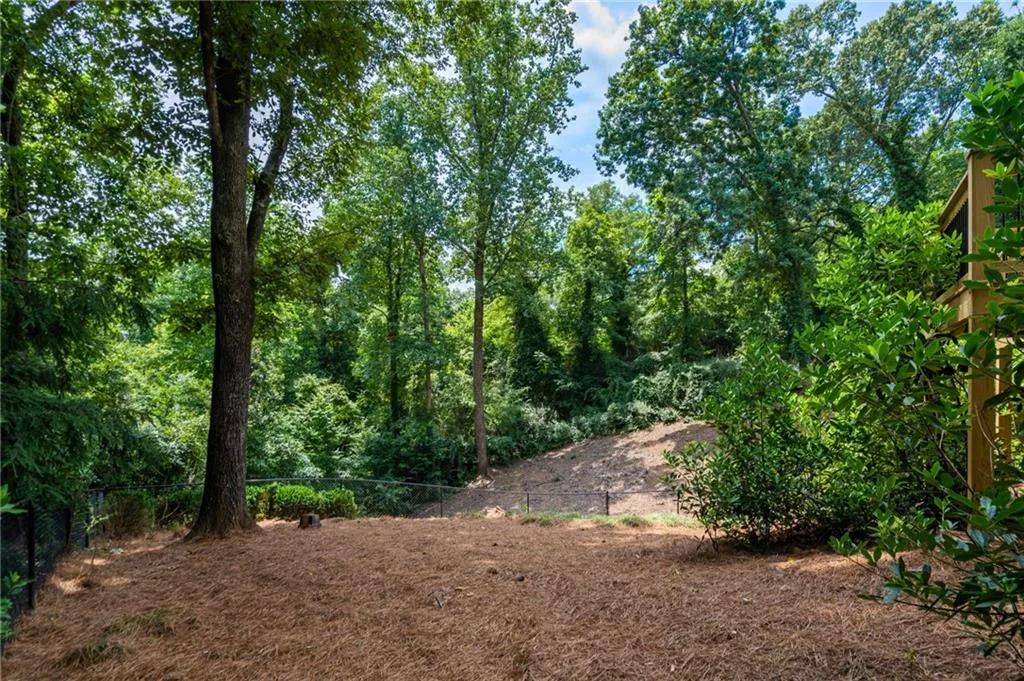 View of local wilderness