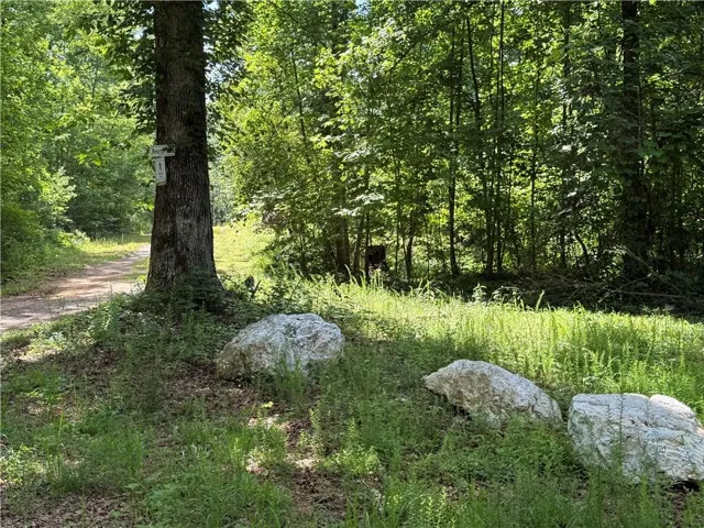 20 Ac Ellijay Road, Talking Rock, Georgia 30175
