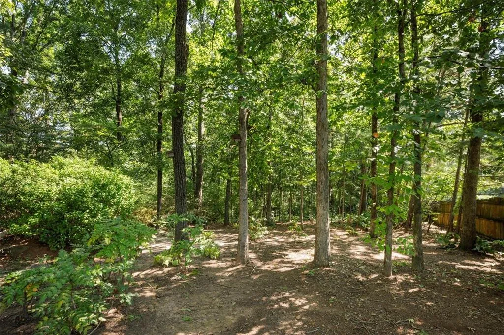 View of wooded area