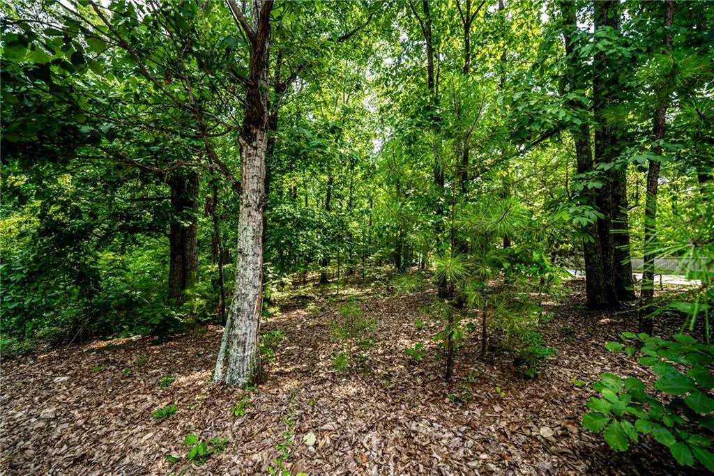 0 Mount Vernon Highway, Sandy Springs, Georgia 30327, ,Land,Sold,0 Mount Vernon Highway,7415952