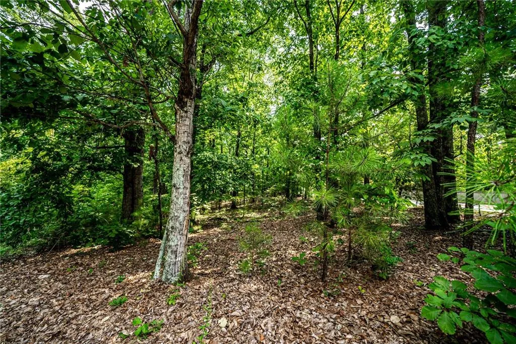 0 Mount Vernon Highway, Sandy Springs, Georgia 30327, ,Land,Sold,0 Mount Vernon Highway,7415952
