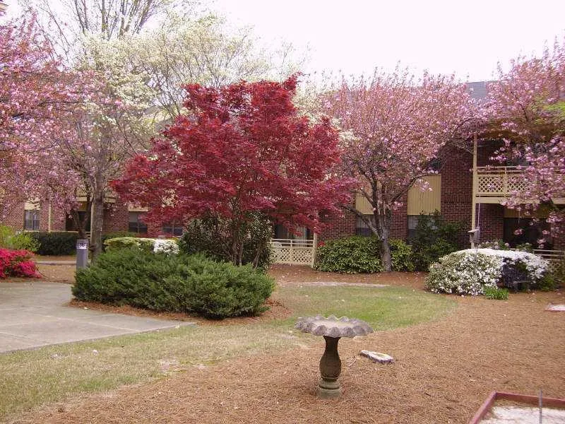 475 Mount Vernon Highway Ne Unit C225, Sandy Springs, Georgia 30328, 1 Bedroom Bedrooms, ,1 BathroomBathrooms,Residential,Sold,475 Mount Vernon Highway Ne Unit C225,4328205