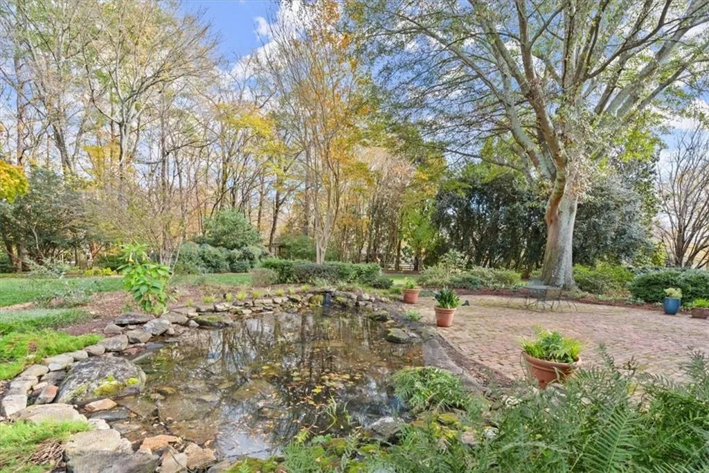Serene water garden in back yard