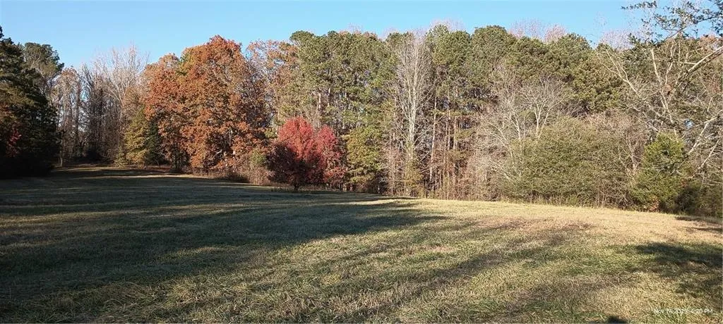 View of green lawn with a view of trees