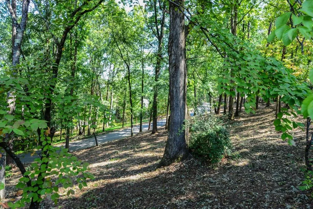 1905 Spalding Drive, Sandy Springs, Georgia 30350, 6 Bedrooms Bedrooms, ,5 BathroomsBathrooms,Residential,Sold,1905 Spalding Drive,6551480