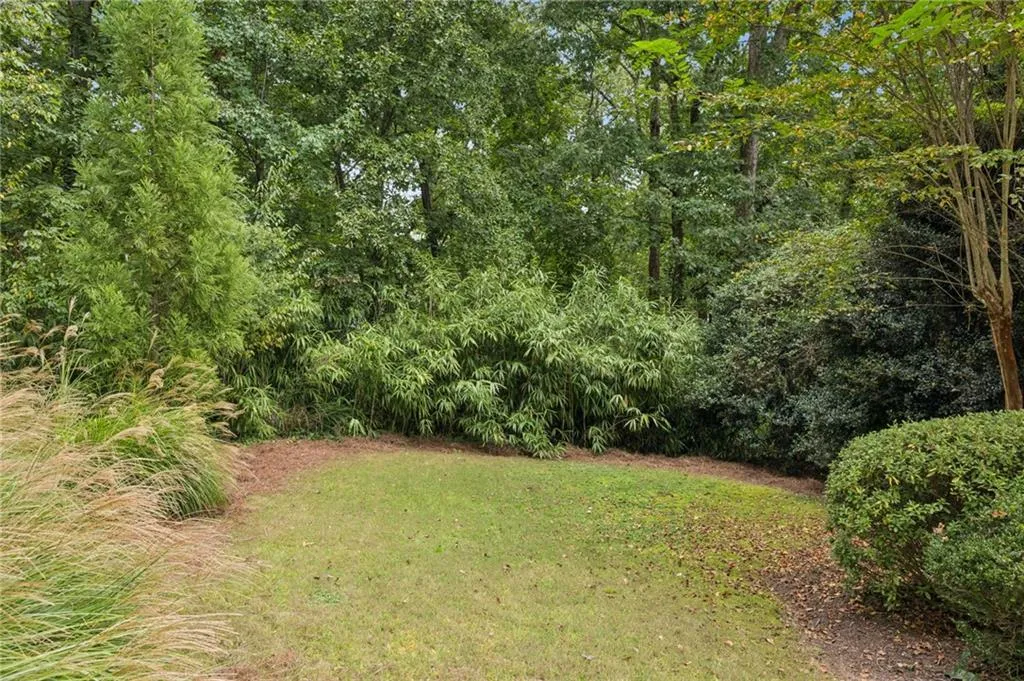View of grassy yard