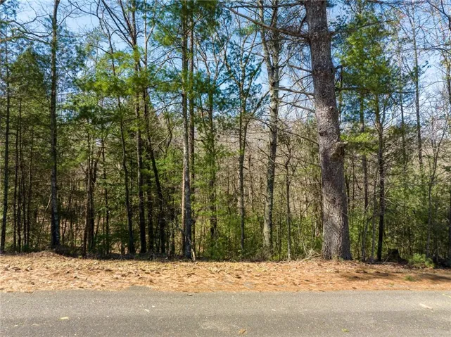 0 Shenendoa Drive, Ellijay, Georgia 30540