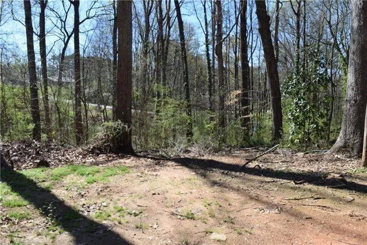 View of wooded area