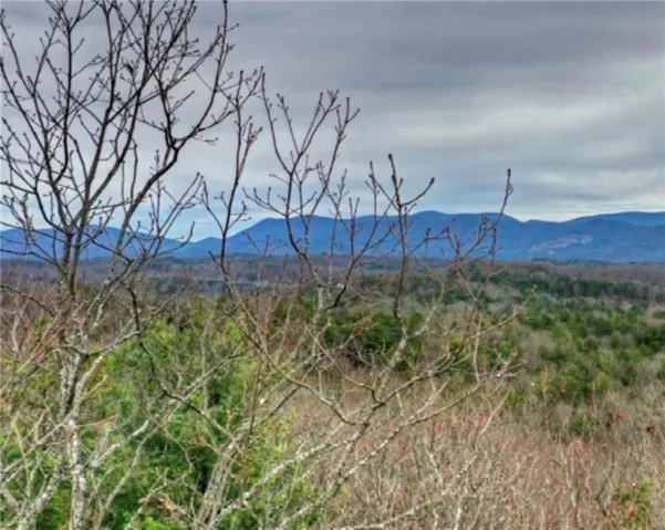 view in the winter from treeline