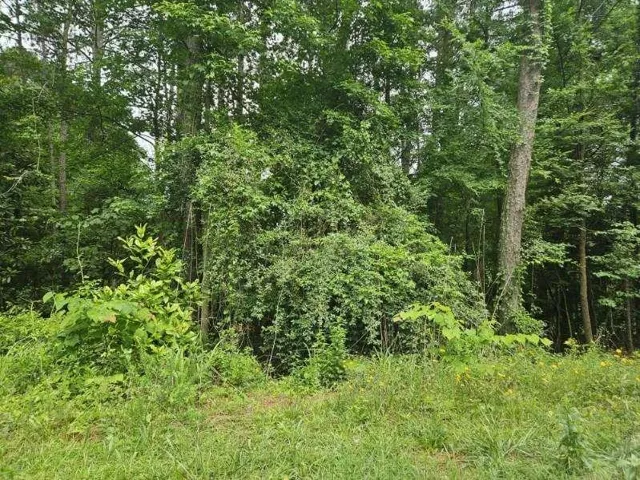 2435 Hi Roc Circle, Conyers, Georgia 30012