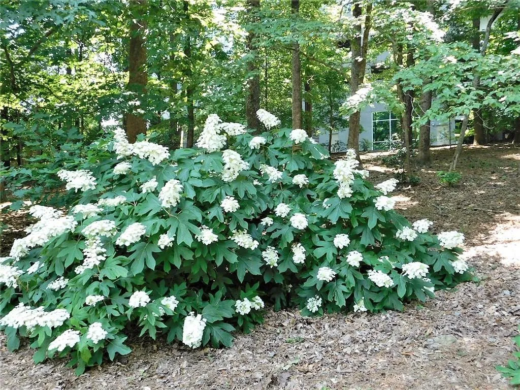 Lush landscaping surrounds Horizon