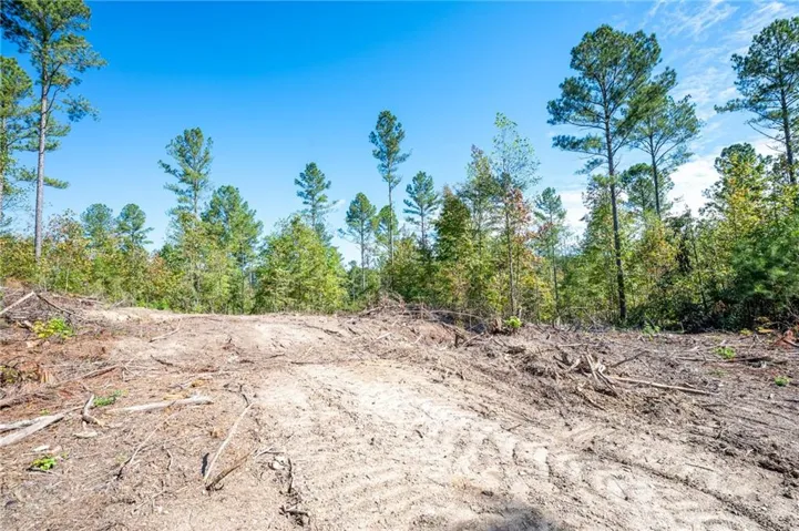 3805 Hwy 140 Ne, Rydal, Georgia 30171