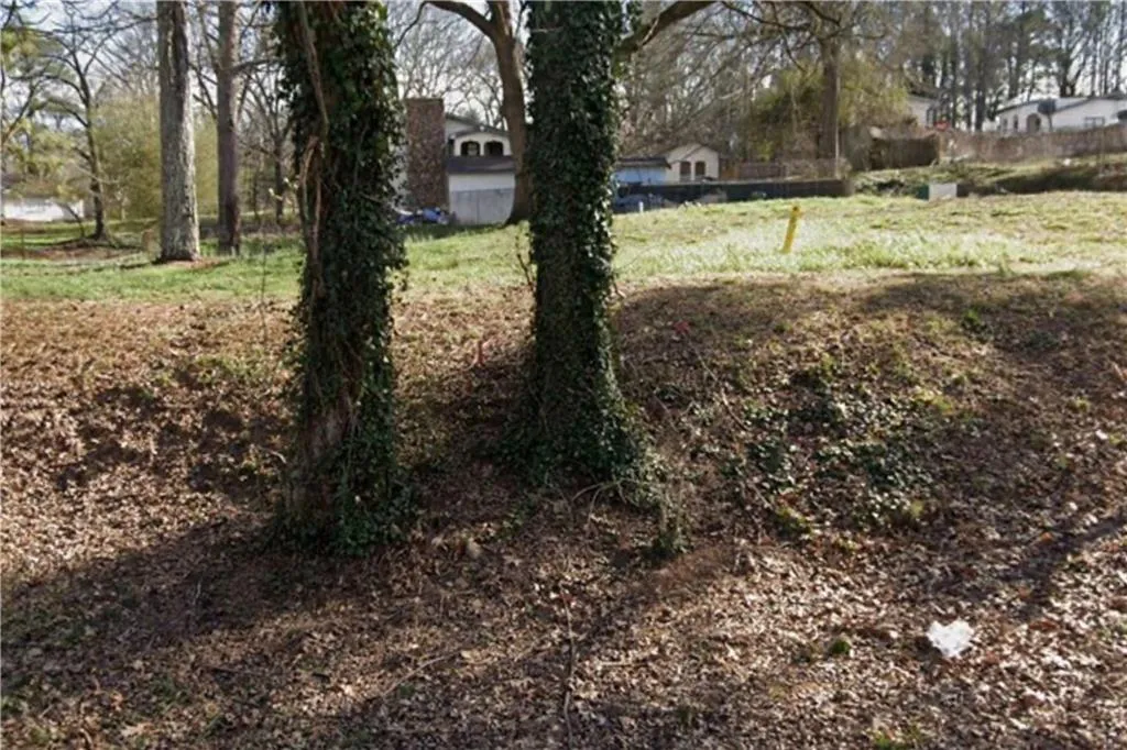 0 Etheridge, Atlanta, Georgia 30318, 0 ,Land,For Sale,0 Etheridge,7821296