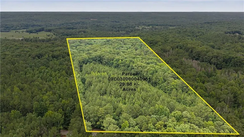 Expansive 29.86 +/- acre wooded parcel featuring mature tree coverage and natural terrain