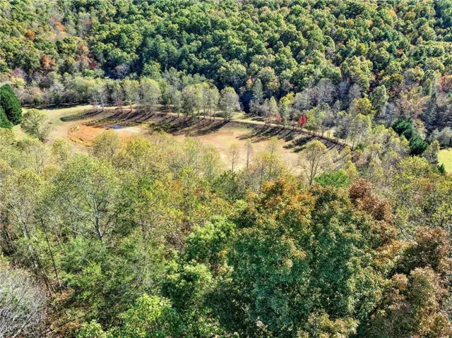 Aerial view of property and surrounding area featuring a heavily wooded area