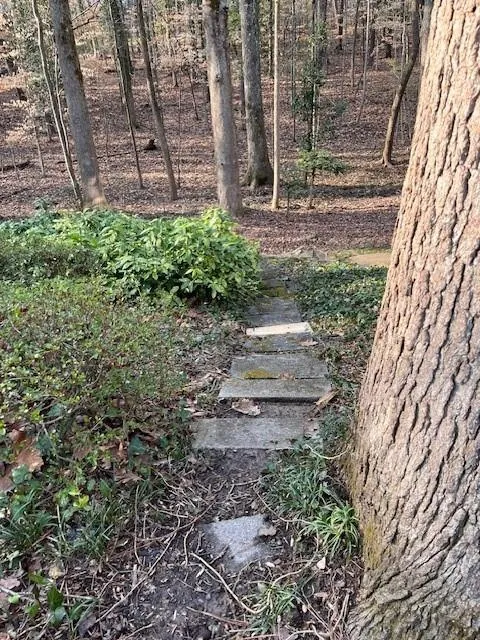 1100 Huntcliff, Sandy Springs, Georgia 30350, 5 Bedrooms Bedrooms, ,4 BathroomsBathrooms,Residential,Sold,1100 Huntcliff,7350493