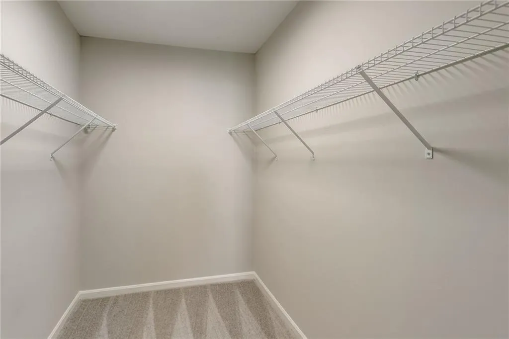 Walk in closet with carpet
