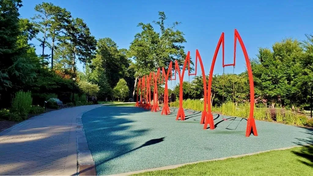 View of jungle gym