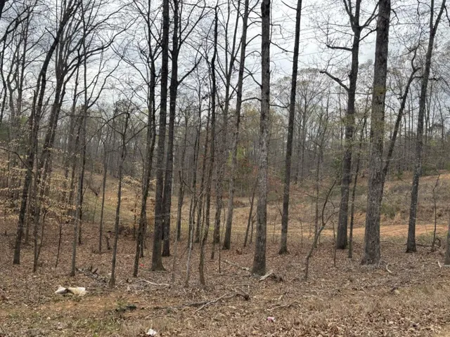 0 Summer Lake Road, Lithia Springs, Georgia 30122
